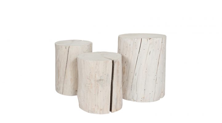 Salish-Wide-Stumps