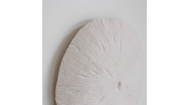 Sand Dollar – Large