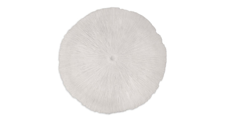 Sand Dollar – Medium