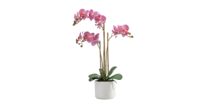 Ava Faux Potted 24h Triple Stem Orchid - Pink (1)