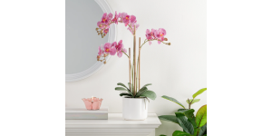 Ava Faux Potted 24h Triple Stem Orchid - Pink (2)