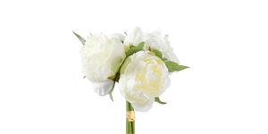 Blushing Peony 5 Bloom Bouquet - Creme (1)