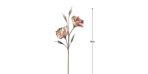 Desert 2 Bloom Vintage Magnolia 46L Stem - Pink (3)