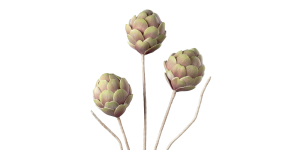 Desert 3 Pod Artichoke 45L” Stem