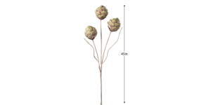 Desert 3 Pod Artichoke 45L Stem (3)