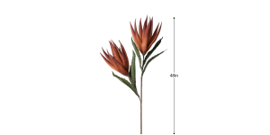 Desert Bird Of Paradise 2 Bloom 48L Stem - OrangeRed (3)