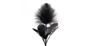 Desert Blooming Feather Pod 35L Stem - Black (1)