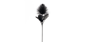 Desert Blooming Feather Pod 35L Stem - Black (2)