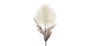 Desert Blooming Feather Pod 35L Stem - Cream (1)