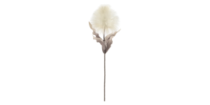 Desert Blooming Feather Pod 35L Stem - Cream (2)