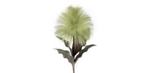 Desert Blooming Feather Pod 35L Stem - Green (1)