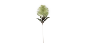 Desert Blooming Feather Pod 35L Stem - Green (2)