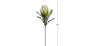 Desert Blooming Protea 33L Stem - Green (3)