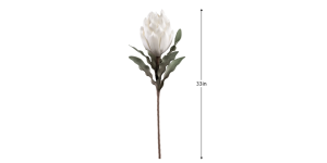 Desert Blooming Protea 33L Stem - White-2