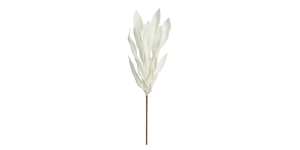 Desert Broad Leaf Flame Grass 38L” Stem – Antique White