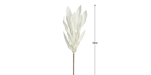 Desert Broad Leaf Flame Grass 38L Stem - Antique White (3)