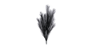 Desert Feather Pampas 47L Stem - Black (1)