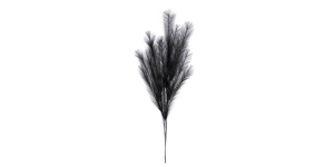 Desert Feather Pampas 47L Stem - Black (2)