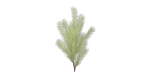 Desert Feather Pampas 47L Stem - Green (1)