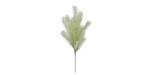 Desert Feather Pampas 47L” Stem – Green