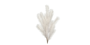 Desert Feather Pampas 47L Stem - White (1)