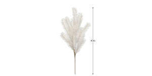 Desert Feather Pampas 47L Stem - White (3)