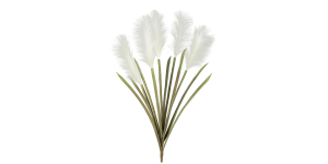 Desert Feather Pampas Grass Multi Bloom Stem (1)