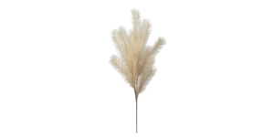 Desert Feather Pampas Stem - Cream (2)