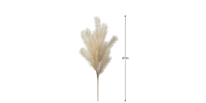 Desert Feather Pampas Stem – Cream