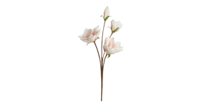 Desert Four Bloom Magnolia 41L Stem - Pink (2)