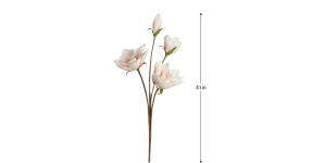 Desert Four Bloom Magnolia 41L” Stem – Pink