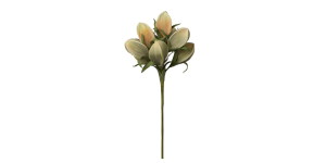 Desert Pinched Multi Pod Bouquet 31L Stem - Peach (2)