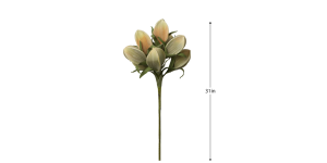 Desert Pinched Multi Pod Bouquet 31L Stem - Peach (3)