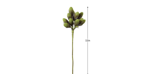 Desert Rind Pods 32L Stem (3)