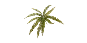 Fern 20.5L Multi Leaf Bush Stem (1)