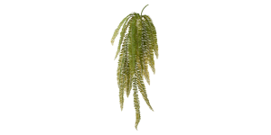 Fern 40L Multi Leaf Spray Stem (1)