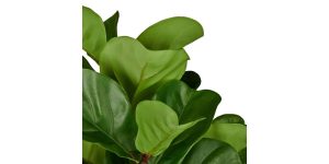 Fiddleleaf Tree 41h” Potted Faux Plant