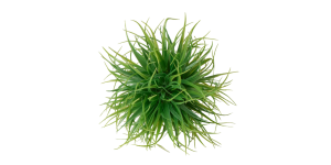 Grass Ball 4″ Diameter