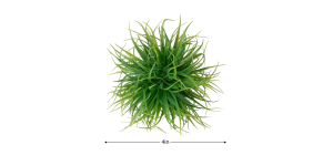 Grass Ball 4 Diameter (2)