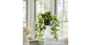 Ivy Hanging Faux Potted Plant With String Hanger