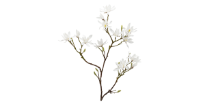 Japanese Magnolia 46L” Faux Multi Bloom Spray Stem – White