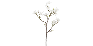 Japanese Magnolia 46L” Faux Multi Bloom Spray Stem – White