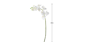 Orchid Faux Single Stem 30L - White (3)