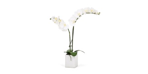 Orchid Potted Faux Double Stem 23 - White (1)