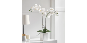 Orchid Potted Faux Double Stem 23 - White (2)