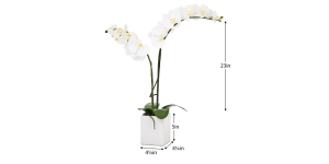 Orchid Potted Faux Double Stem 23 - White (3)