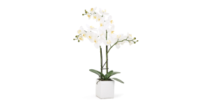 Orchid Potted Faux Triple Stem 23 - White (1)