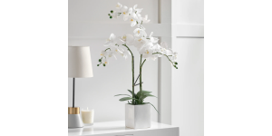 Orchid Potted Faux Triple Stem 23 - White (2)