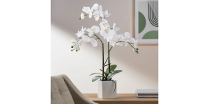 Orchid Potted Faux Triple Stem 23 - White (4)