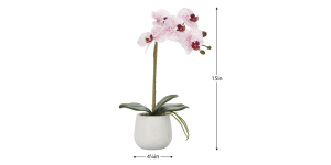 Phalaenopsis Potted 15 Faux Single Stem Orchid - Pink (3)